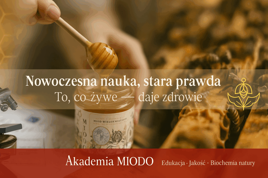 Akademia MIODO – Wiedza o prawdziwym miodzie i jego enzymach